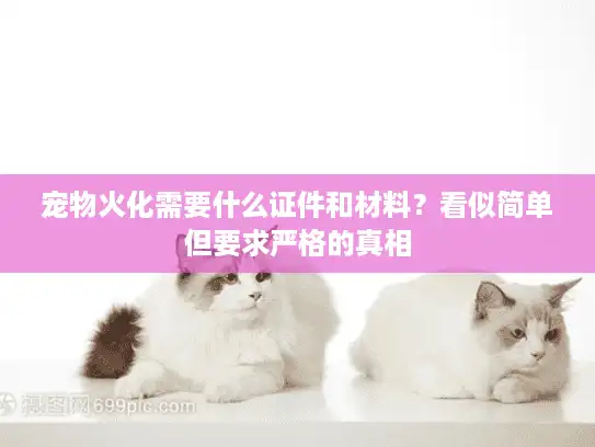 宠物火化需要什么证件和材料？看似简单但要求严格的真相
