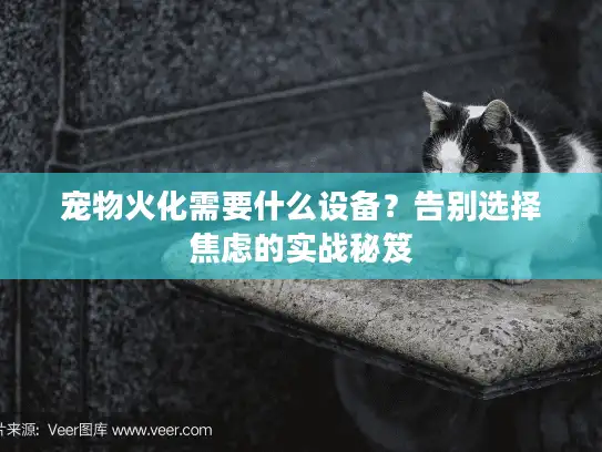 宠物火化需要什么设备？告别选择焦虑的实战秘笈