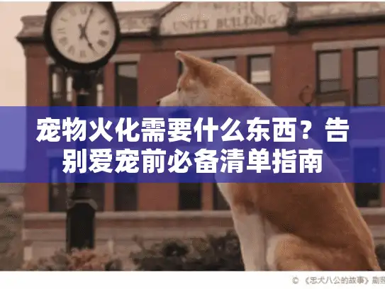 宠物火化需要什么东西？告别爱宠前必备清单指南