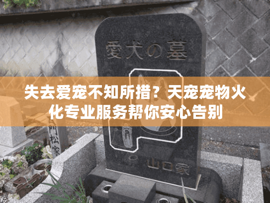 失去爱宠不知所措？天宠宠物火化专业服务帮你安心告别