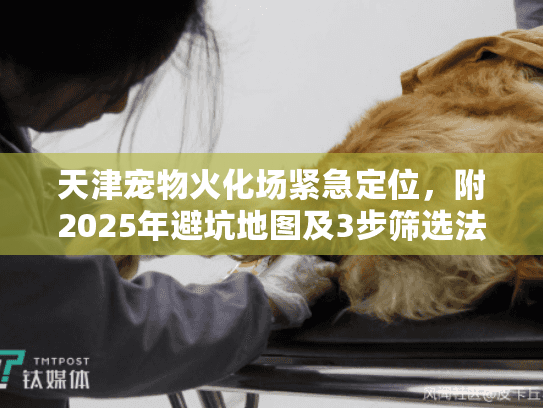 天津宠物火化场紧急定位，附2025年避坑地图及3步筛选法