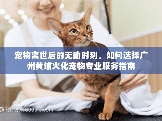宠物离世后的无助时刻，如何选择广州黄埔火化宠物专业服务指南