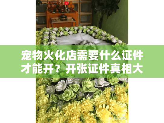 宠物火化店需要什么证件才能开？开张证件真相大揭秘