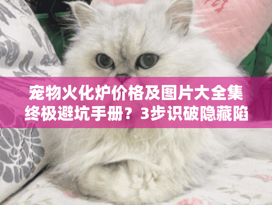 宠物火化炉价格及图片大全集终极避坑手册？3步识破隐藏陷阱