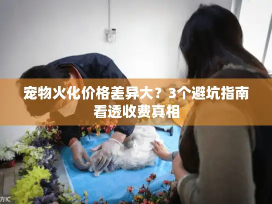 宠物火化价格差异大？3个避坑指南看透收费真相