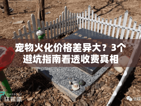 宠物火化价格差异大？3个避坑指南看透收费真相