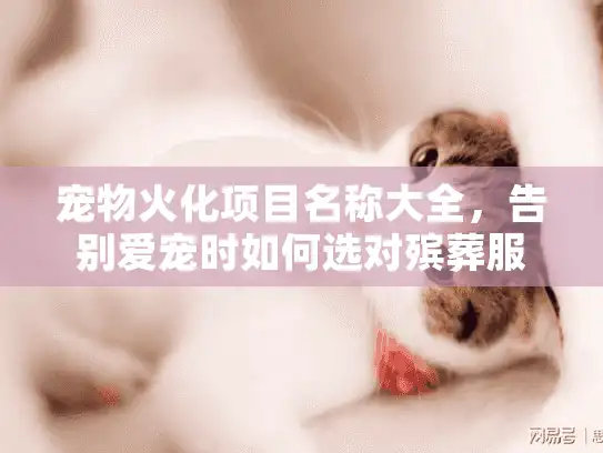 宠物火化项目名称大全，告别爱宠时如何选对殡葬服务？