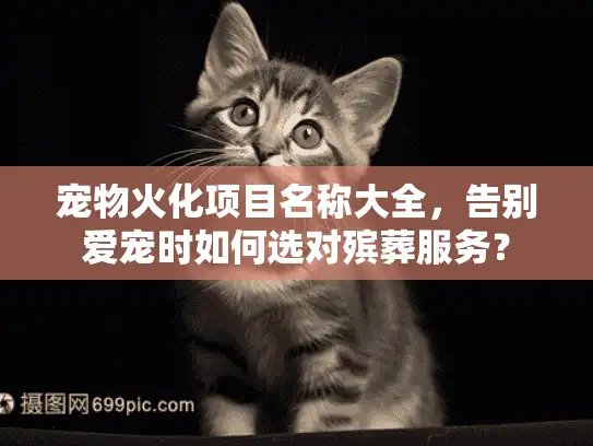 宠物火化项目名称大全，告别爱宠时如何选对殡葬服务？