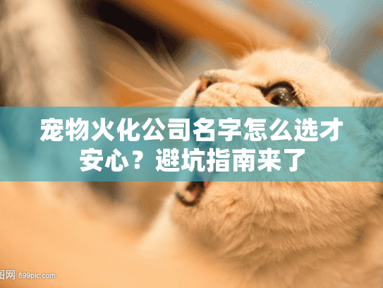 宠物火化公司名字怎么选才安心？避坑指南来了