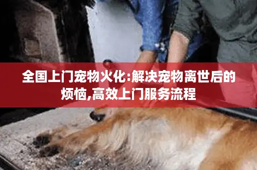 全国上门宠物火化:解决宠物离世后的烦恼,高效上门服务流程 全国上门宠物火化:解决宠物离世后的烦恼,高效上门服务流程