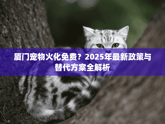 厦门宠物火化免费？2025年最新政策与替代方案全解析