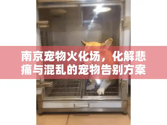 南京宠物火化场,化解悲痛与混乱的宠物告别方案 南京宠物火化场,化解悲痛与混乱的宠物告别方案