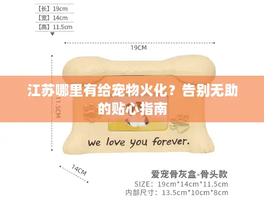 江苏哪里有给宠物火化？告别无助的贴心指南
