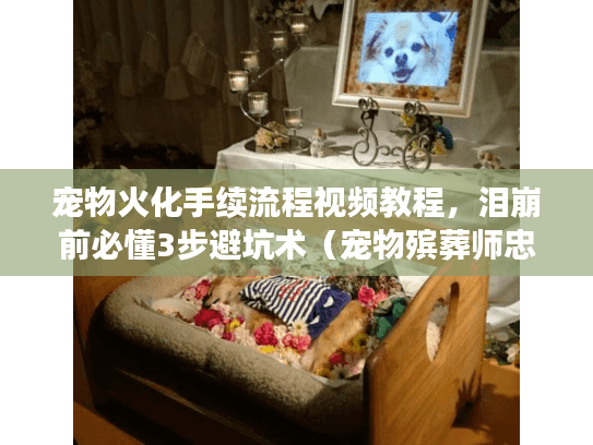 宠物火化手续流程视频教程，泪崩前必懂3步避坑术（宠物殡葬师忠告）