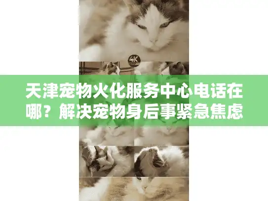 天津宠物火化服务中心电话在哪？解决宠物身后事紧急焦虑