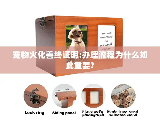 宠物火化善终证明:办理流程为什么如此重要? 宠物火化善终证明:办理流程为什么如此重要?