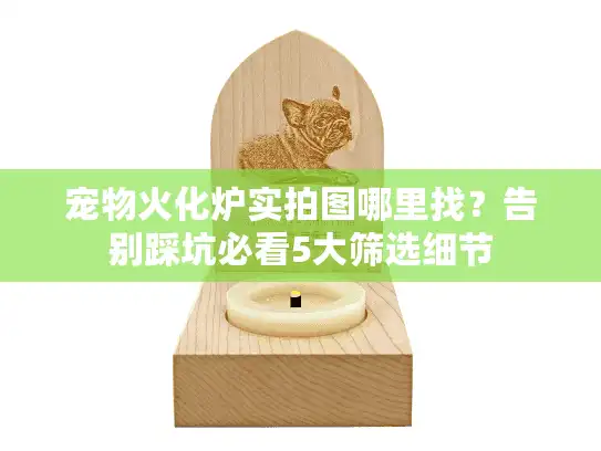 宠物火化炉实拍图哪里找？告别踩坑必看5大筛选细节