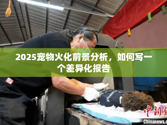 2025宠物火化前景分析，如何写一个差异化报告