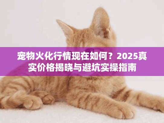 宠物火化行情现在如何？2025真实价格揭晓与避坑实操指南