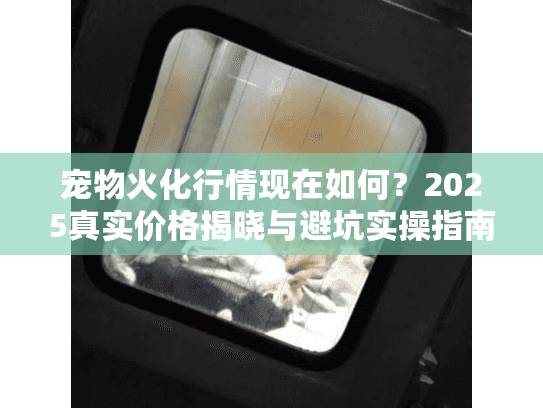宠物火化行情现在如何？2025真实价格揭晓与避坑实操指南