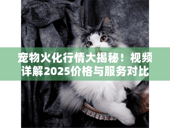 宠物火化行情大揭秘！视频详解2025价格与服务对比
