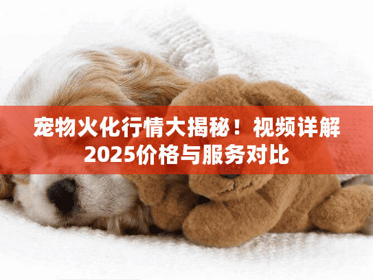 宠物火化行情大揭秘！视频详解2025价格与服务对比