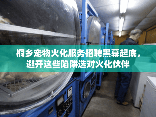 桐乡宠物火化服务招聘黑幕起底，避开这些陷阱选对火化伙伴