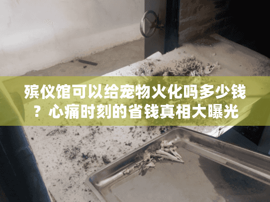 殡仪馆可以给宠物火化吗多少钱?心痛时刻的省钱真相大曝光 殡仪馆可以给宠物火化吗多少钱?心痛时刻的省钱真相大曝光