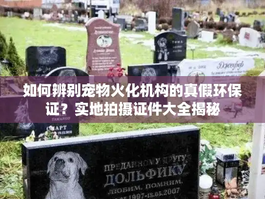 如何辨别宠物火化机构的真假环保证？实地拍摄证件大全揭秘