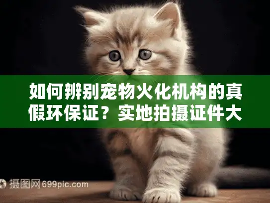 如何辨别宠物火化机构的真假环保证？实地拍摄证件大全揭秘