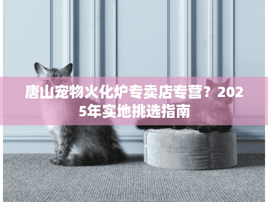 唐山宠物火化炉专卖店专营？2025年实地挑选指南