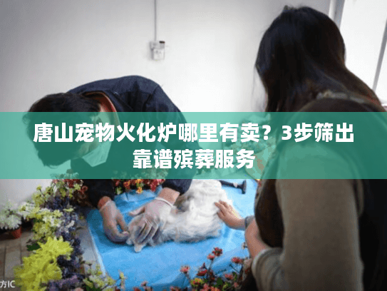 唐山宠物火化炉哪里有卖？3步筛出靠谱殡葬服务