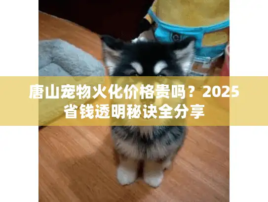 唐山宠物火化价格贵吗?2025省钱透明秘诀全分享 唐山宠物火化价格贵吗?2025省钱透明秘诀全分享