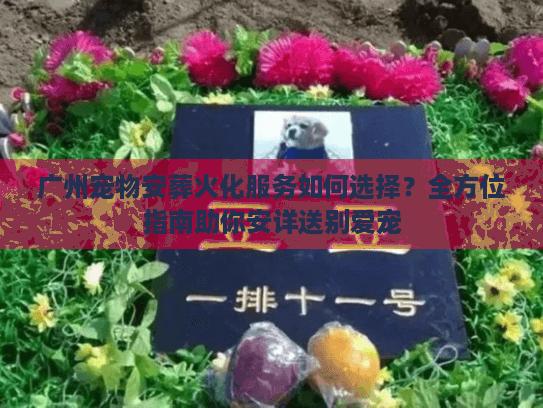 广州宠物安葬火化服务如何选择?全方位指南助你安详送别爱宠 广州宠物安葬火化服务如何选择?全方位指南助你安详送别爱宠