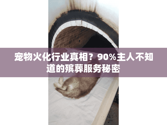 宠物火化行业真相？90%主人不知道的殡葬服务秘密
