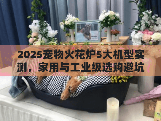 2025宠物火花炉5大机型实测,家用与工业级选购避坑清单 2025宠物火花炉5大机型实测,家用与工业级选购避坑清单