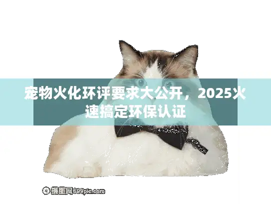 宠物火化环评要求大公开，2025火速搞定环保认证