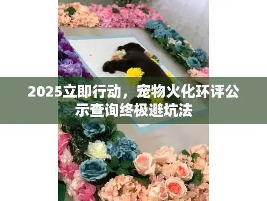 2025立即行动，宠物火化环评公示查询终极避坑法