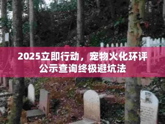 2025立即行动，宠物火化环评公示查询终极避坑法