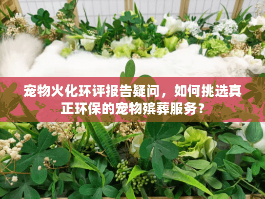 宠物火化环评报告疑问,如何挑选真正环保的宠物殡葬服务? 宠物火化环评报告疑问,如何挑选真正环保的宠物殡葬服务?