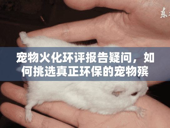 宠物火化环评报告疑问,如何挑选真正环保的宠物殡葬服务? 宠物火化环评报告疑问,如何挑选真正环保的宠物殡葬服务?