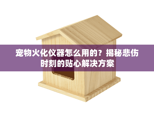 宠物火化仪器怎么用的？揭秘悲伤时刻的贴心解决方案