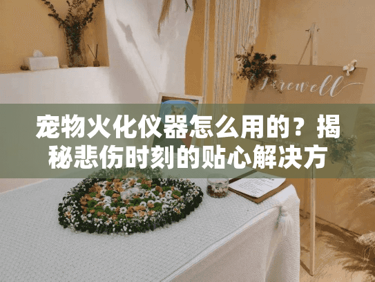 宠物火化仪器怎么用的？揭秘悲伤时刻的贴心解决方案