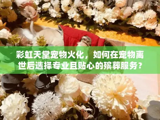 彩虹天堂宠物火化,如何在宠物离世后选择专业且贴心的殡葬服务? 彩虹天堂宠物火化,如何在宠物离世后选择专业且贴心的殡葬服务?