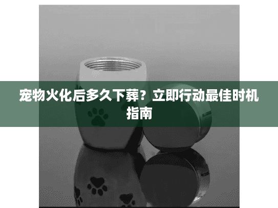 宠物火化后多久下葬？立即行动最佳时机指南