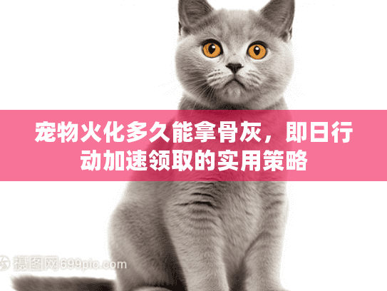 宠物火化多久能拿骨灰，即日行动加速领取的实用策略