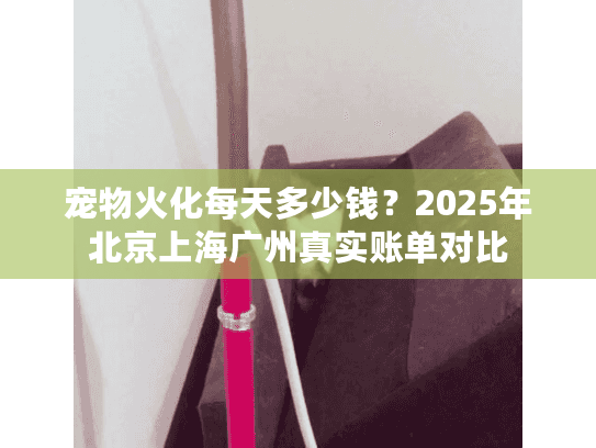 宠物火化每天多少钱?2025年北京上海广州真实账单对比 宠物火化每天多少钱?2025年北京上海广州真实账单对比