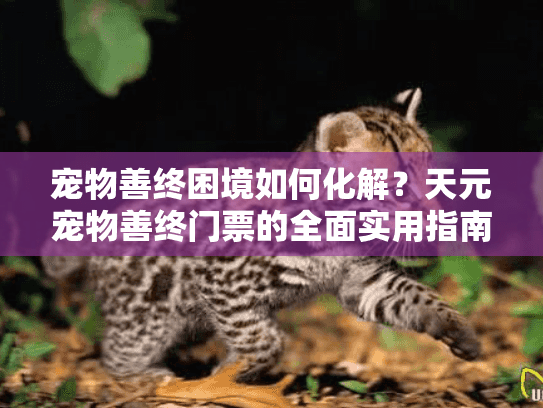 宠物善终困境如何化解？天元宠物善终门票的全面实用指南