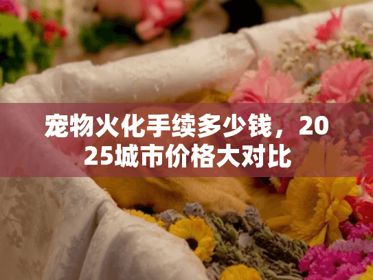 宠物火化手续多少钱，2025城市价格大对比