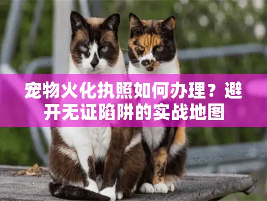 宠物火化执照如何办理?避开无证陷阱的实战地图 宠物火化执照如何办理?避开无证陷阱的实战地图